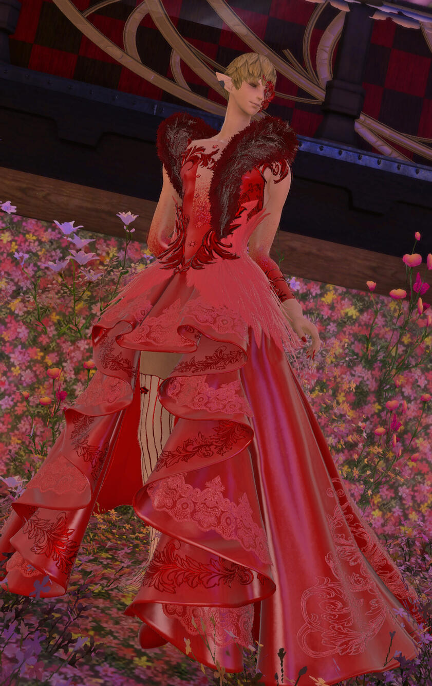 [📷Francel D'haillenarte] 25th Feb 2024 [Red Flower]